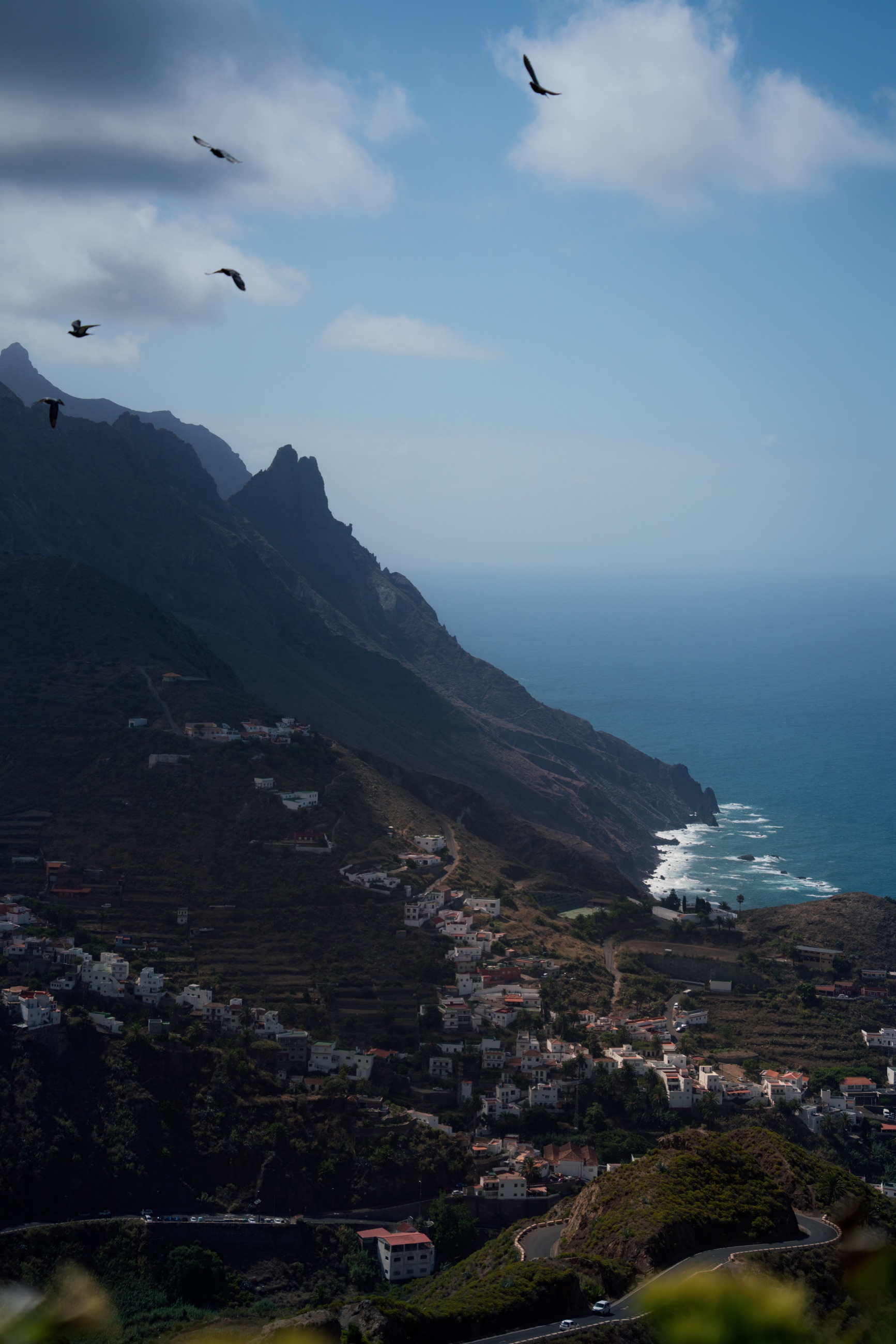Birds flying over a mountain ridge and coastal village in Tenerife