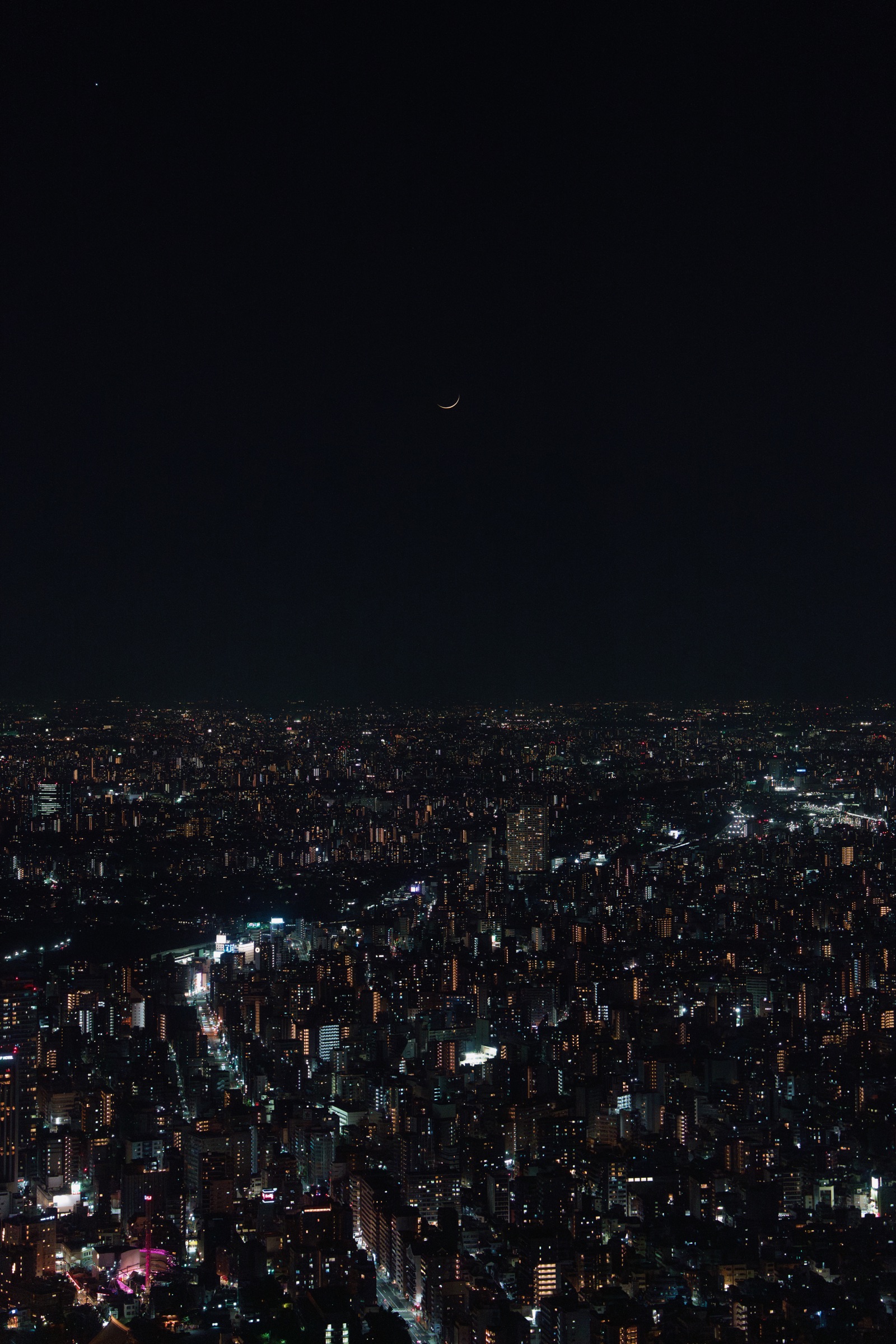 Tokyo lights stretching into the night